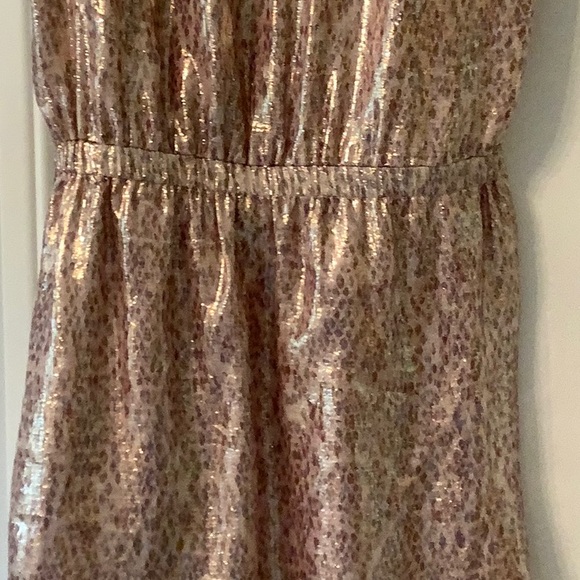 Ramy Brooks Gabriela Silk Metallic Dress Small - Picture 10 of 13
